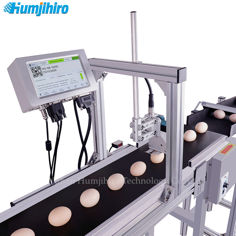 잉크젯 프린터 QR 코드 인쇄 계란 오리 계란 배치 번 - Commercial Printing Products 리뷰 및 가격